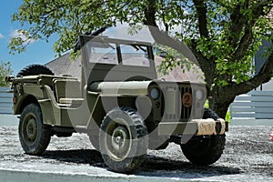 Green jeep is parked in front of a tree