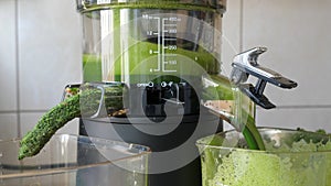 Green juice. Process of extracting fresh kale juice.
