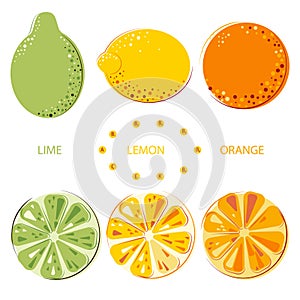 Green Juicy Lime, Lemon, Sunny juicy oranges set of whole and cut fruits. Colorful citrus fruits
