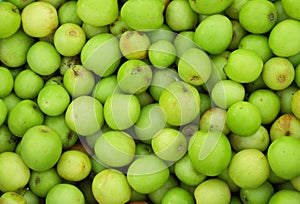 Green jujube fruit