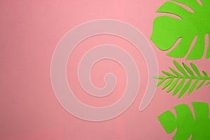 green jungle leaves on the right pink background, creative torpical design, copy sapce, trendy colors photo