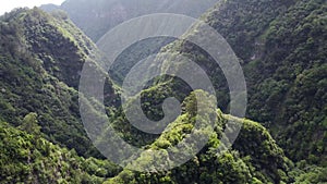 A Green Jungle Odyssey: Madeira Seen from Above