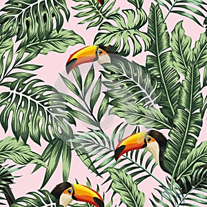 Green jungle with toucan pink background