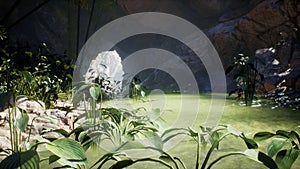 Green jungle, water body, rocks and the sun peeking through the trees in the summertime. Rays of light in a green