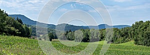 green jura countryside landscape in france