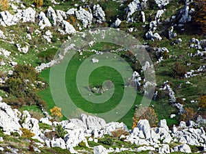 Green karst pastures in the Velebit plateaus, Croatia Zeleni krski pasnjaci na velebitskim visoravnima, Hrvatska photo