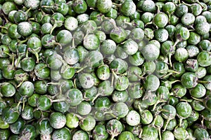 Green Kermit eggplants