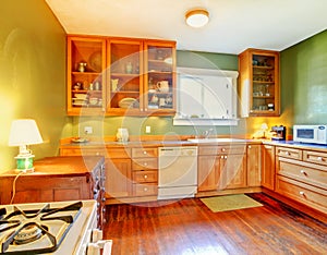 Green kitchen with wood cabinets