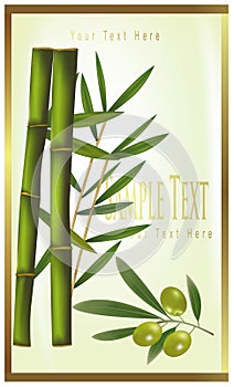 Green label of bamboo and olive