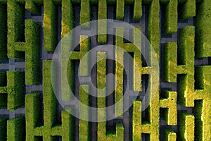 Green labyrinth in garden geometrical symmetry maze Aerial drone view