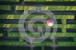 Green labyrinth in garden geometrical symmetry maze rainbow umbrella Aerial drone view