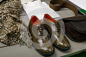 Green lacquered oxford shoes near white shirt, bag and scarf on wooden background. Back view.