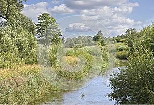 Green Ladspace and blue river