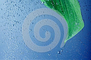 Green laef with drops in water