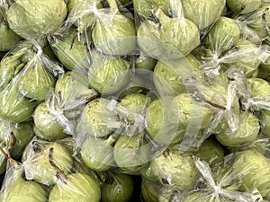 green Lagenaria siceraria fruit in a market in the city