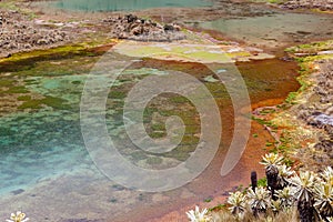 Green lagoons at the foot of the Chiles volcano