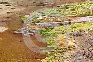 Green lagoons at the foot of the Chiles volcano