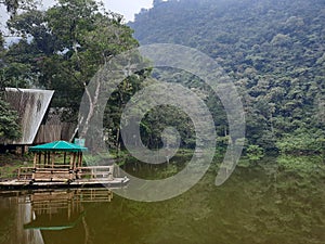 Green lake boat tree
