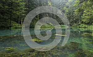 Green Lake, Gorski Kotar, croatia