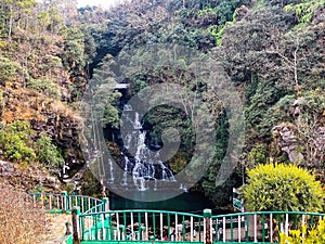 In the green lake hills surrounded by trees