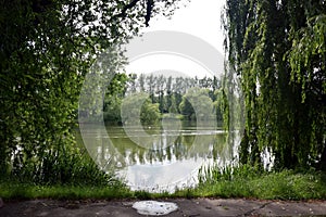 Green lake in the middle of the Silesian Park