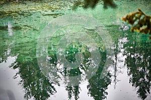 Green lake mirroring spruce trees