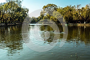 Green lake parks photo