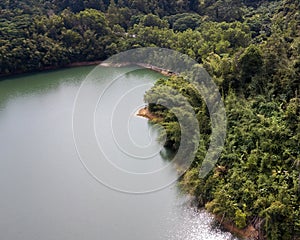 Green lake and rainforest tropical trees in Kuala Kubu Bharu, Malaysia