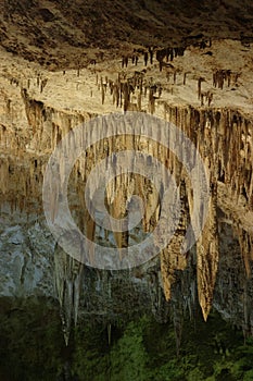 Green Lake Room Stalactites