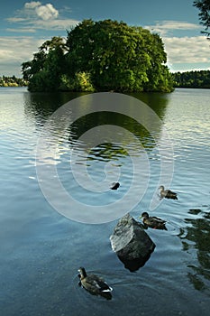 Green Lake, Seattle