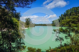 Green lake in Waiotapu, Rotorua, New Zealand photo