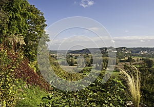 Green landscape