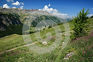 Green landscape above Saint Veran village with mountain range, pine tree forests and Saint Veran village in the background