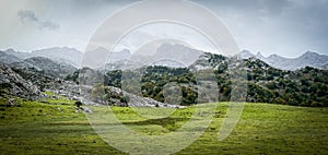 Green landscape with beautiful mountains and a little fog in the sky, Picos de Europa photo