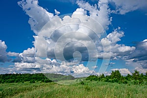 Green landscape with beautiful sky