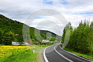 Green landscape - country road