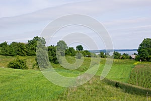 Green landscape - fields by Wigry Lake