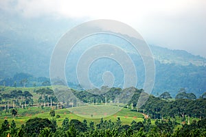 Green landscape in a foggy peak