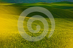 Green landscape hills in Tuscany, Italy