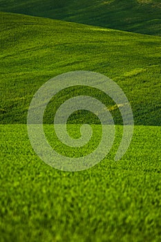 Green landscape hills in Tuscany, Italy