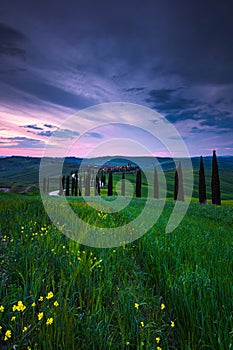 Green landscape hills in Tuscany, Italy