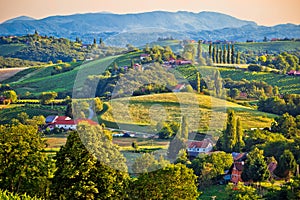 Green landscape of Medjimurje region view from hill