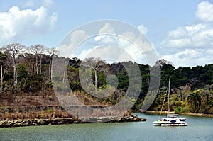 Green landscape of Panama Canal, view from the transiting cargo ship.