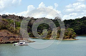 Green landscape of Panama Canal, view from the transiting cargo ship.