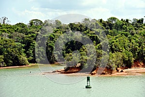 Green landscape of Panama Canal, view from the transiting cargo ship.