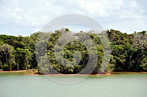 Green landscape of Panama Canal, view from the transiting cargo ship.