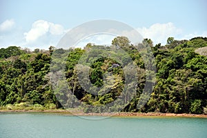 Green landscape of Panama Canal, view from the transiting cargo ship.