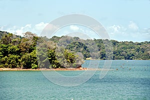 Green landscape of Panama Canal, view from the transiting cargo ship.