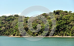 Green landscape of Panama Canal, view from the transiting cargo ship.