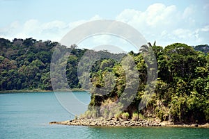 Green landscape of Panama Canal, view from the transiting cargo ship.